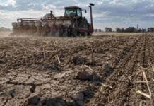 La falta de agua frena al maíz temprano en la Región Núcleo: ya se sembraron más de 500.000 hectáreas Siembra de maíz temprano sobre suelo seco en la Región Núcleo, donde la falta de humedad comienza a frenar el avance de las sembradoras.