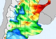 Pronóstico de lluvias hasta el 5 de octubre: el NEA y la región Pampeana concentrarán los mayores acumulados Mapa de pronóstico de precipitaciones en Argentina con acumulados representados por colores y diferencias marcadas entre regiones.