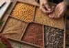 Granos: el maíz arrancó la semana con mejores precios y más ofertas para entregas futuras Maíz, soja, trigo, sorgo y girasol separados en compartimentos mientras un productor inspecciona los granos, en una imagen ilustrativa del mercado agrícola.