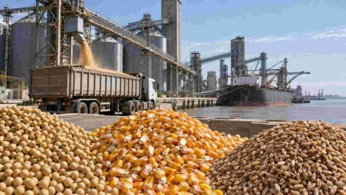 Soja, maíz y trigo en una terminal portuaria de granos de Rosario, con camiones, silos y un buque de carga durante una jornada de comercialización.