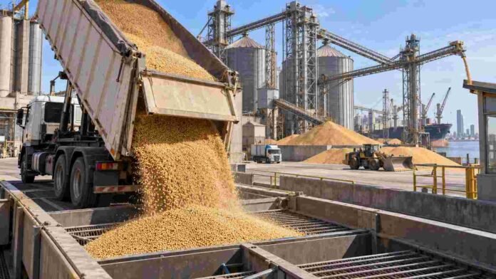 Descarga de granos en una terminal portuaria, con silos y logística de exportación vinculada al mercado agrícola de Rosario.