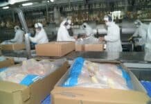Argentina reabre el mercado de Japón para la carne aviar Operarios en una planta de procesamiento avícola envasando productos de pollo en cajas sobre una línea industrial.