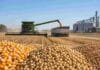 Argentina apunta a otra gran cosecha: 155,8 Mt y exportaciones agroindustriales récord Cosecha de granos en un campo argentino con maíz, soja y trigo en primer plano, una cosechadora descargando en un camión y silos al fondo.