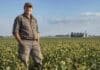 El 53% de los productores argentinos espera buenos tiempos para el agro, casi el doble que en Estados Unidos Productor agropecuario argentino en un lote agrícola de la región pampeana, con cultivos extensivos y paisaje rural de fondo.