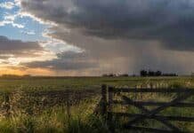 Pronóstico para miércoles, jueves y viernes: los chaparrones vuelven a La Pampa y Buenos Aires Chaparrones sobre un campo de la región pampeana durante el pronóstico para La Pampa y Buenos Aires