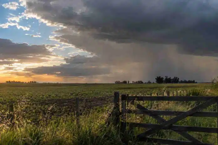 Chaparrones sobre un campo de la región pampeana durante el pronóstico para La Pampa y Buenos Aires