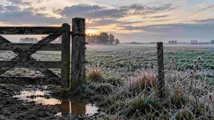 Helada y humedad en un campo argentino durante el pronóstico de lluvias y temperaturas bajo cero