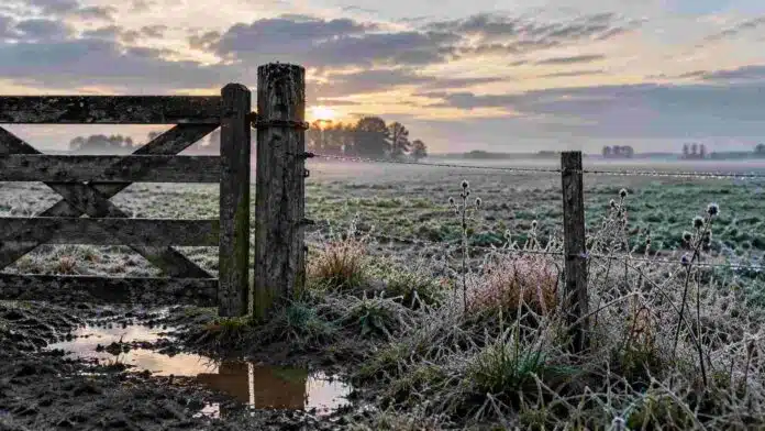pronostico-heladas-lluvias-temperaturas-bajo-cero-ruralnet Helada y humedad en un campo argentino durante el pronóstico de lluvias y temperaturas bajo cero
