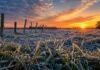 El frío avanza sobre la región agrícola y las heladas se extienden durante el fin de semana Pronóstico meteorológico agropecuario con lluvias y tormentas sobre zonas productivas de Argentina