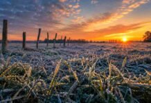 El frío avanza sobre la región agrícola y las heladas se extienden durante el fin de semana Pronóstico meteorológico agropecuario con lluvias y tormentas sobre zonas productivas de Argentina