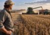 El Estado se queda con el 58,2% de la renta agrícola, menos que en junio Productor observa la cosecha de soja mientras avanza una cosechadora en un campo argentino