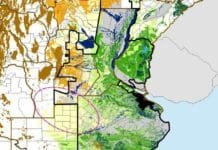 El trigo pierde reservas de agua: el déficit avanza en el NOA, Chaco y Córdoba Mapa de reservas hídricas del suelo para trigo de siembra temprana en Argentina al 6 de septiembre de 2026