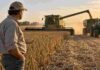 La Bolsa de Cereales pidió llevar las retenciones a cero y acelerar cambios para el agro Productor observa la cosecha de soja mientras una cosechadora descarga granos en una tolva durante la campaña agrícola en Argentina.