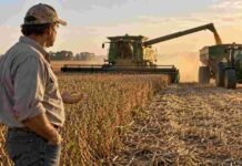 La Bolsa de Cereales pidió llevar las retenciones a cero y acelerar cambios para el agro Productor observa la cosecha de soja mientras una cosechadora descarga granos en una tolva durante la campaña agrícola en Argentina.