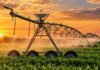 RIMI para el agro: cómo invertir sin monto mínimo y amortizar en un año Sistema de riego agrícola en funcionamiento durante el atardecer, una de las inversiones alcanzadas por los beneficios del RIMI para el agro