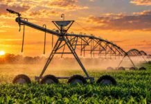RIMI para el agro: cómo invertir sin monto mínimo y amortizar en un año Sistema de riego agrícola en funcionamiento durante el atardecer, una de las inversiones alcanzadas por los beneficios del RIMI para el agro