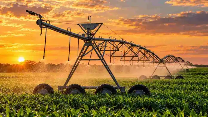 Sistema de riego agrícola en funcionamiento durante el atardecer, una de las inversiones alcanzadas por los beneficios del RIMI para el agro