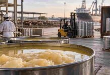 Sebo bovino: Argentina multiplicó por 20 sus exportaciones en una década Sebo bovino procesado en una planta industrial argentina, preparado para almacenamiento y exportación como subproducto de la cadena ganadera.
