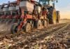 Una sembradora mal calibrada puede costar hasta 600 kg/ha: cinco errores que se repiten Sembradora trabajando sobre un lote con rastrojo durante la implantación de maíz, en una imagen que ilustra la importancia de la calibración y la uniformidad de siembra.