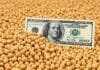 El agro podría liquidar US$ 40.000 millones en 2027 Billete de 100 dólares entre granos de soja, imagen representativa de la relación entre precios agrícolas, exportaciones y mercado cambiario.