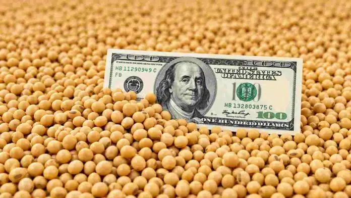 soja-dolar-precio-granos-mercado Billete de 100 dólares entre granos de soja, imagen representativa de la relación entre precios agrícolas, exportaciones y mercado cambiario.