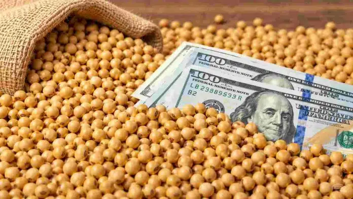 Granos de soja junto a billetes de dólares, en una imagen representativa del valor, la comercialización y las exportaciones del complejo sojero.