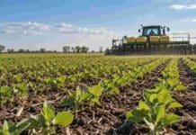 Una oportunidad que no aparece todos los años: qué mirar antes de sembrar soja en primavera Lote de soja implantado en primavera en Chaco, con una sembradora trabajando sobre un suelo con buena disponibilidad de humedad.