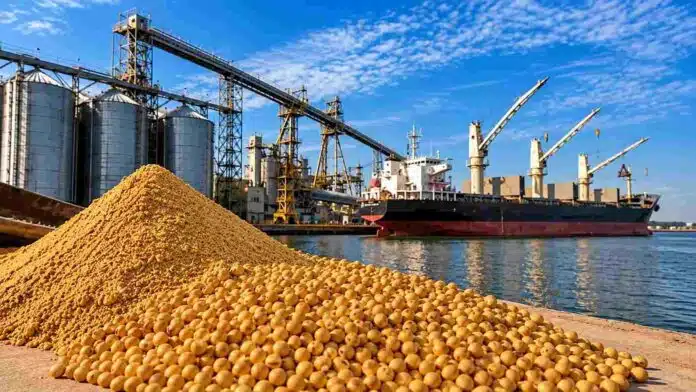 soja-puerto-exportacion-granos-argentina Soja en primer plano junto a silos y un buque carguero en una terminal portuaria de exportación de granos