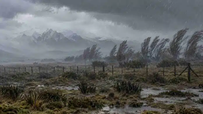temporal-patagonia-lluvia-viento-alerta- Fuertes lluvias y viento afectan una zona rural de la Patagonia bajo alertas meteorológicas por precipitaciones intensas y ráfagas.