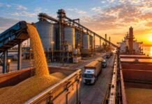Exportaciones agro: Argentina marca un récord y supera las 80,7 Mt hasta agosto Carga de granos en una terminal cerealera argentina durante el atardecer, con silos, camiones y buques en operación.