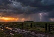 Alertas del SMN: tormentas en el NEA y fuerte temporal de viento, nieve y Zonda en el oeste Tormenta al anochecer sobre un campo, con relámpagos, lluvia intensa y un camino rural embarrado en primer plano.