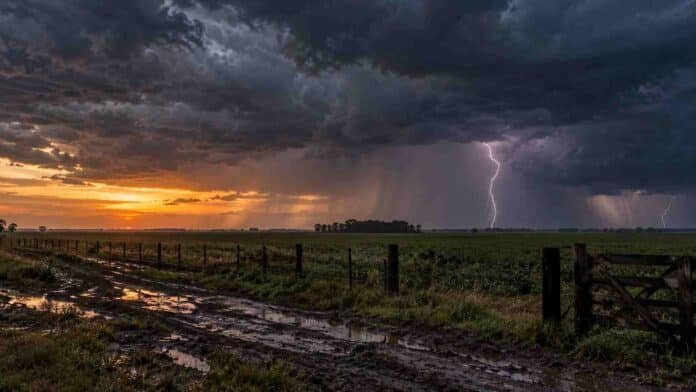 tormenta-campo-anochecer-alerta-ruralnet Tormenta al anochecer sobre un campo, con relámpagos, lluvia intensa y un camino rural embarrado en primer plano.