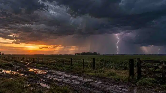 Tormenta al anochecer sobre un campo, con relámpagos, lluvia intensa y un camino rural embarrado en primer plano.