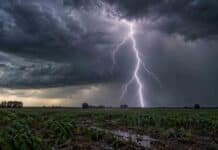 Pronóstico de heladas para el agro: así viene el clima de martes a jueves Fuerte tormenta eléctrica con un relámpago impactando sobre un campo rural cultivado bajo un cielo oscuro y cargado.