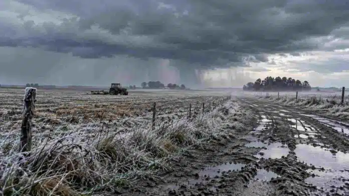 tormenta-frio-heladas-campo-ruralnet Tormenta sobre un campo rural con suelo húmedo, escarcha, camino embarrado y un tractor bajo un marcado descenso de temperatura.