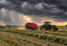 El tiempo cambia este fin de semana: tormentas fuertes, ráfagas y marcado descenso térmico Tractor con rotoenfardadora trabajando sobre alfalfa bajo una tormenta, con rollos en el campo y lluvias intensas en el horizonte.