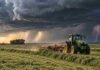 Pronóstico para jueves, viernes y sábado: tormentas avanzan por el norte y las ráfagas ganan terreno Tractor trabajando con rastrillo de entrega lateral sobre un campo de alfalfa recién cortada, bajo un cielo de tormenta con lluvias avanzando en el horizonte