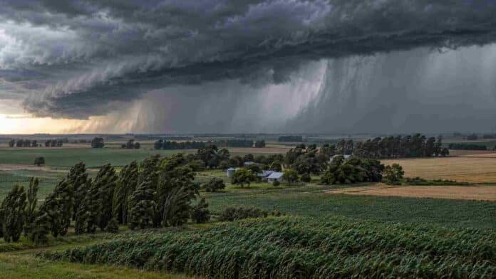 tormentas-fuertes-14-provincias-campos-rurales Frente de tormenta con lluvias intensas y fuertes ráfagas sobre campos rurales, en una escena vinculada a las alertas meteorológicas en varias provincias argentinas.