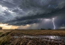 El tiempo cambia de golpe: tormentas fuertes, ráfagas y posibles nevadas Tormenta fuerte con relámpagos sobre un campo agrícola argentino con rastrojo y suelo húmedo