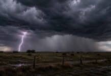 Tormentas e inestabilidad avanzan por el centro y norte del país: el viernes vuelven las heladas Tormenta con fuerte cortina de lluvia y un relámpago sobre un paisaje rural de la región pampeana argentina.