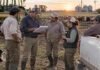 UATRE: homologaron el acuerdo salarial rural y fijaron nuevos mínimos hasta octubre de 2027 Trabajadores rurales reunidos en un establecimiento agropecuario mientras revisan documentación, en el marco del acuerdo salarial homologado de UATRE