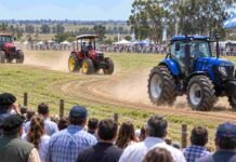 El Litoral se encuentra en la Expo Rural 2026: tractores en acción, producción, conocimiento y nuevas oportunidades Tres tractores en acción recorren una pista ovalada de pasto durante una demostración a campo en la Expo Rural de Concepción del Uruguay