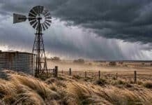 Ráfagas de 70 km/h, Zonda y nieve de 30 cm afectan a 13 provincias Viento fuerte sobre un campo argentino con molino y tanque australiano bajo cielo de tormenta