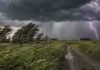 Un frente de viento y tormentas avanza sobre 12 provincias con ráfagas intensas y granizo Tormenta sobre un campo rural argentino, con ráfagas intensas, árboles inclinados por el viento, camino de tierra y relámpago en el horizonte.