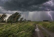 Un frente de viento y tormentas avanza sobre 12 provincias con ráfagas intensas y granizo Tormenta sobre un campo rural argentino, con ráfagas intensas, árboles inclinados por el viento, camino de tierra y relámpago en el horizonte.