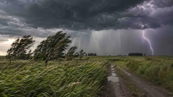 viento-tormentas-campo-rural-provincia-buenos-aires Tormenta sobre un campo rural argentino, con ráfagas intensas, árboles inclinados por el viento, camino de tierra y relámpago en el horizonte.