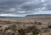 Vientos fuertes en la Patagonia: alerta del SMN para este viernes Fuertes vientos levantan polvo y azotan la vegetación de la estepa patagónica bajo un cielo cubierto de nubes.
