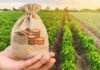 Financiamiento agropecuario: a qué tasas se endeudan los productores para la campaña 2026/27