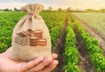 Financiamiento agropecuario: a qué tasas se endeudan los productores para la campaña 2026/27