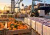 Agroexportaciones a Europa: alcanzaron US$1.922 millones en los primeros cuatro meses del acuerdo Cítricos, carne y otros productos agroindustriales listos para exportación en un puerto, en una imagen que representa el crecimiento de las ventas argentinas a la Unión Europea.